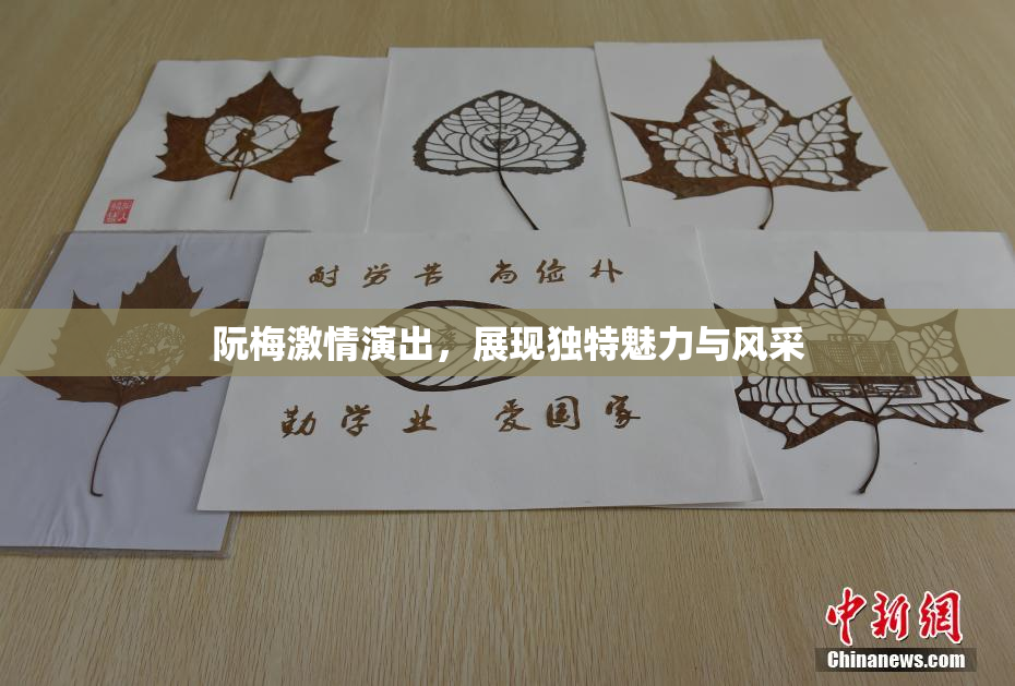 阮梅激情演出，展现独特魅力与风采