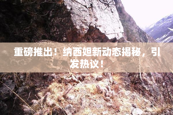 重磅推出！纳西妲新动态揭秘，引发热议！