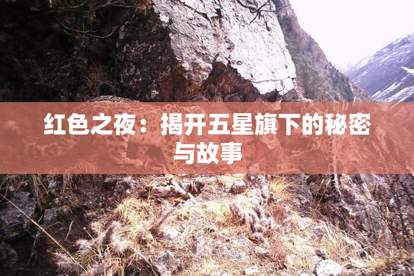 红色之夜：揭开五星旗下的秘密与故事