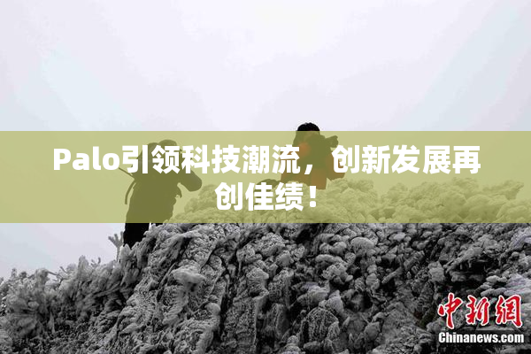 Palo引领科技潮流，创新发展再创佳绩！