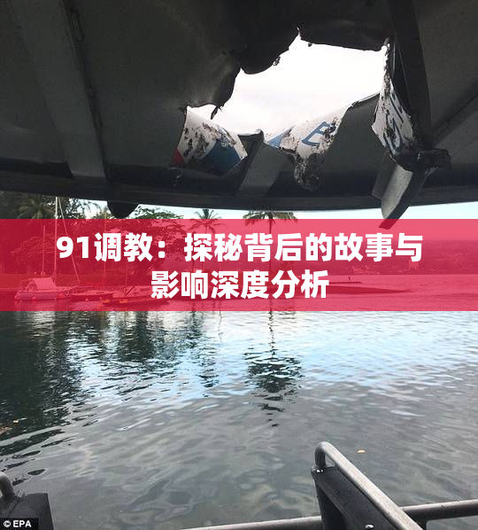 91调教：探秘背后的故事与影响深度分析