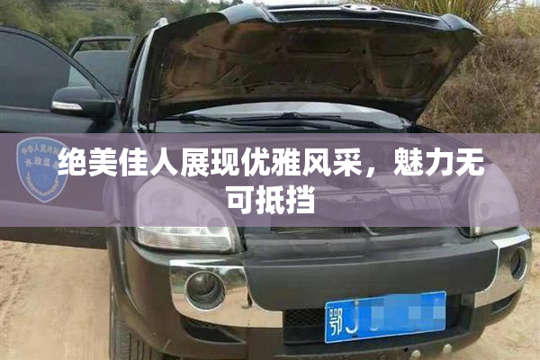 绝美佳人展现优雅风采，魅力无可抵挡