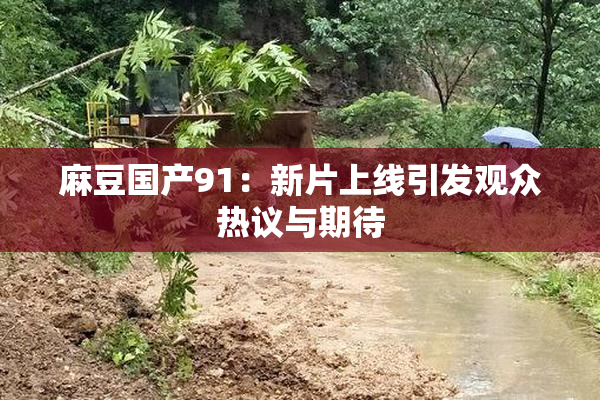 麻豆国产91：新片上线引发观众热议与期待