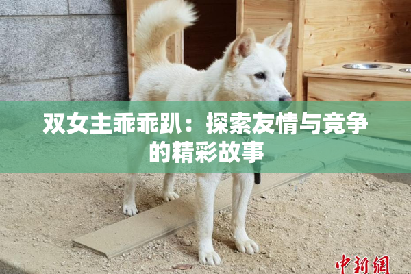 双女主乖乖趴：探索友情与竞争的精彩故事