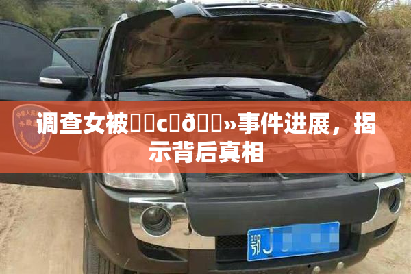 调查女被❌‌c‌🐻事件进展，揭示背后真相