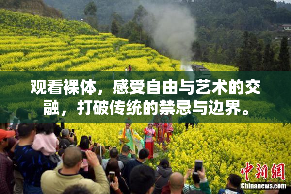 观看裸体，感受自由与艺术的交融，打破传统的禁忌与边界。