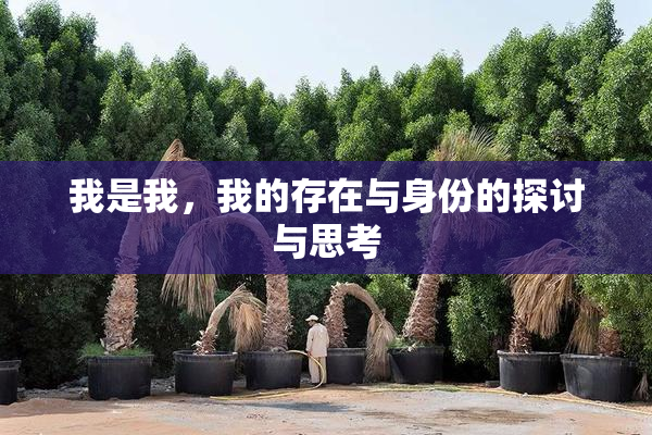 我是我，我的存在与身份的探讨与思考