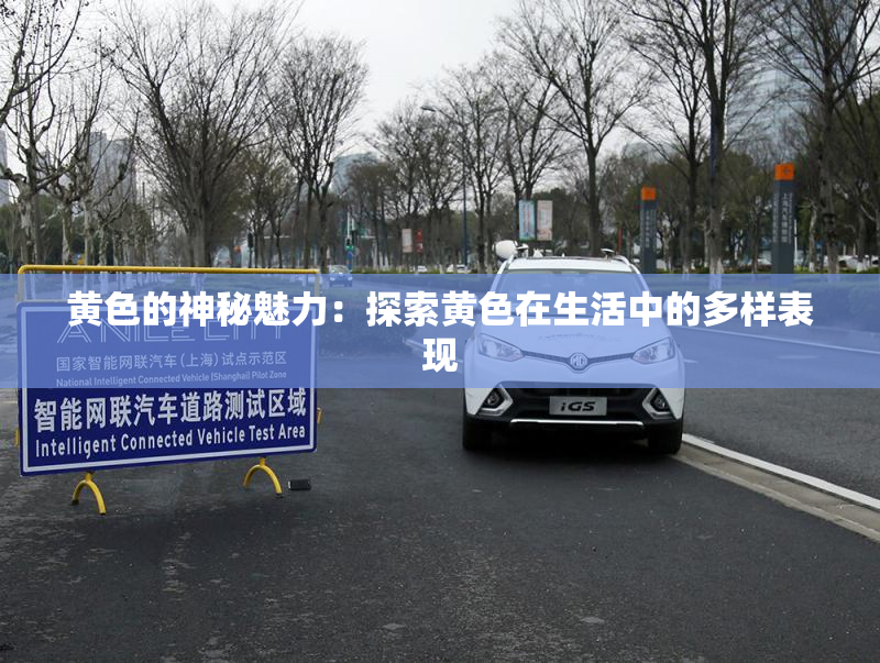 黄色的神秘魅力：探索黄色在生活中的多样表现