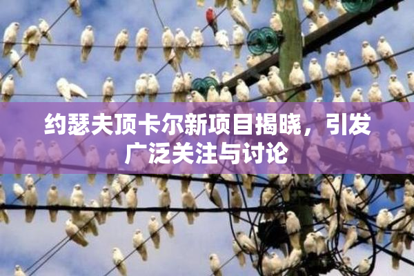 约瑟夫顶卡尔新项目揭晓，引发广泛关注与讨论
