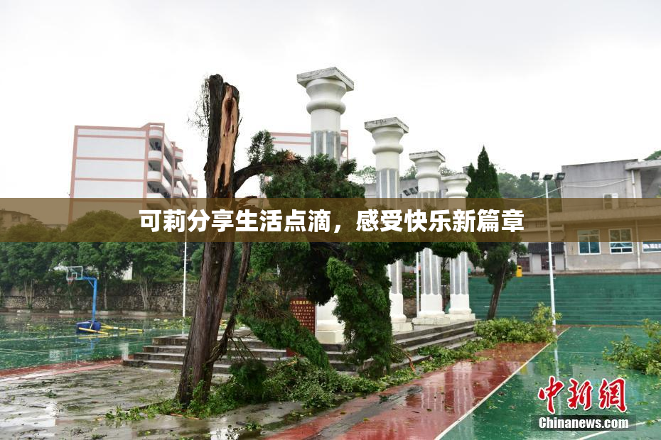 可莉分享生活点滴，感受快乐新篇章