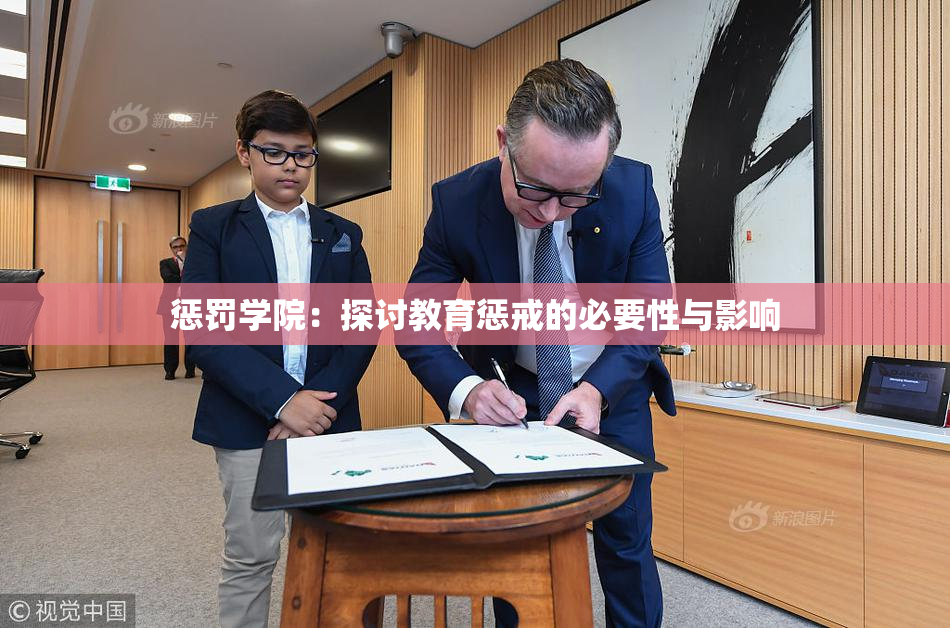 惩罚学院：探讨教育惩戒的必要性与影响