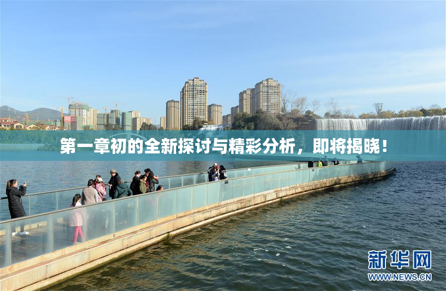 第一章初的全新探讨与精彩分析，即将揭晓！