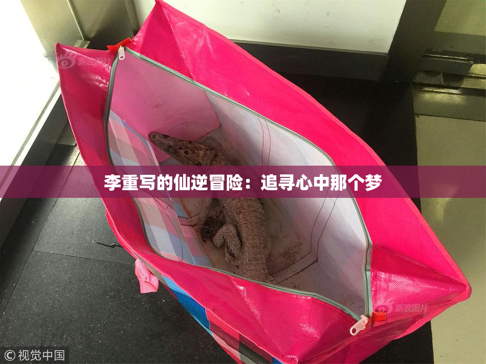 李重写的仙逆冒险：追寻心中那个梦