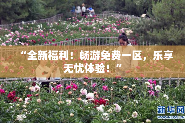 “全新福利！畅游免费一区，乐享无忧体验！”