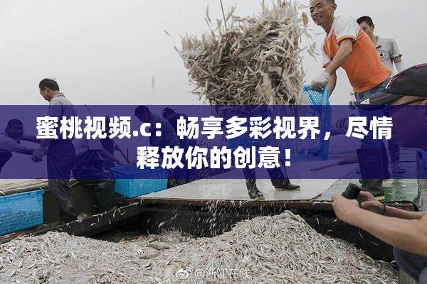蜜桃视频.c：畅享多彩视界，尽情释放你的创意！