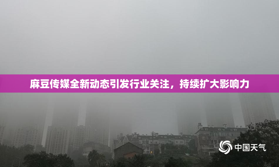 麻豆传媒全新动态引发行业关注，持续扩大影响力