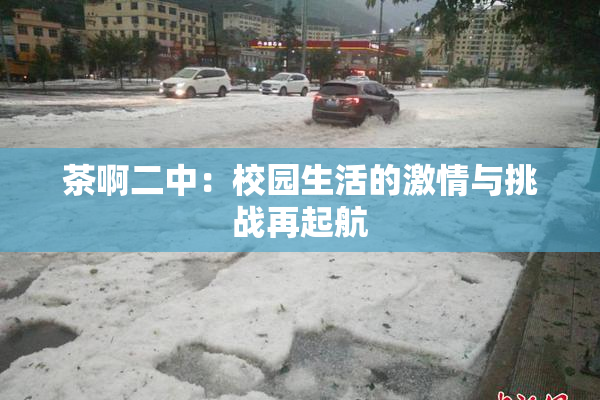茶啊二中：校园生活的激情与挑战再起航
