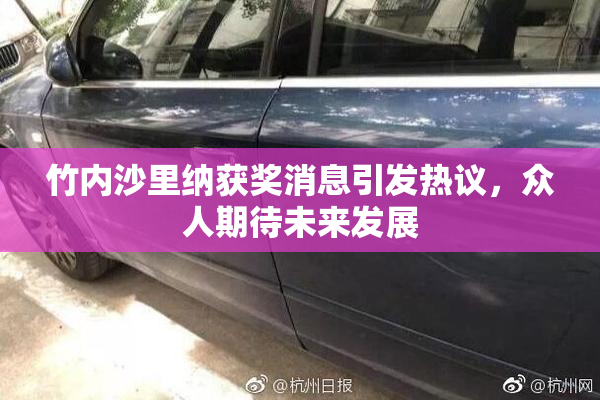 竹内沙里纳获奖消息引发热议，众人期待未来发展