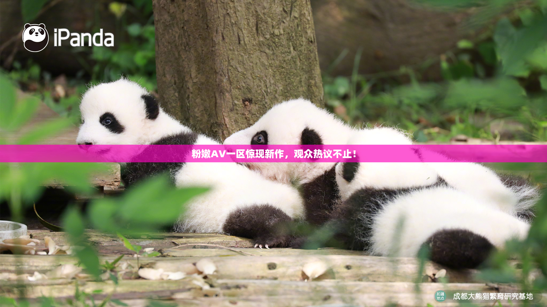 粉嫩AV一区惊现新作，观众热议不止！