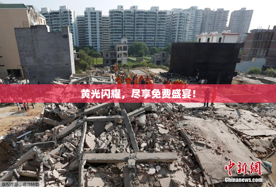 黄光闪耀，尽享免费盛宴！