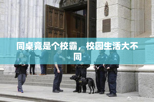 同桌竟是个校霸，校园生活大不同