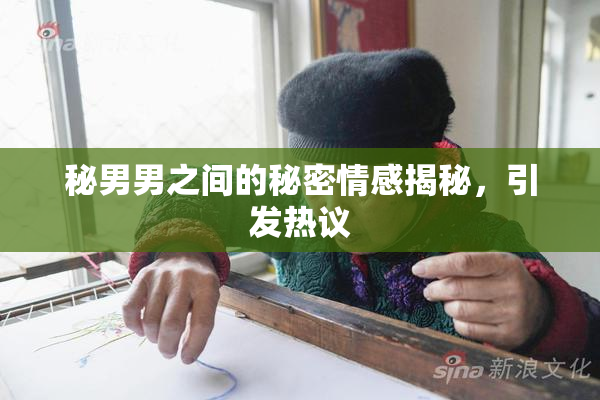 秘男男之间的秘密情感揭秘，引发热议