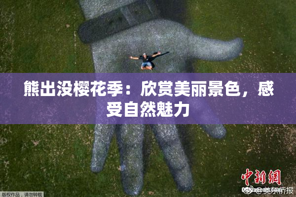 熊出没樱花季：欣赏美丽景色，感受自然魅力