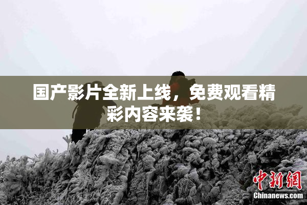 国产影片全新上线，免费观看精彩内容来袭！