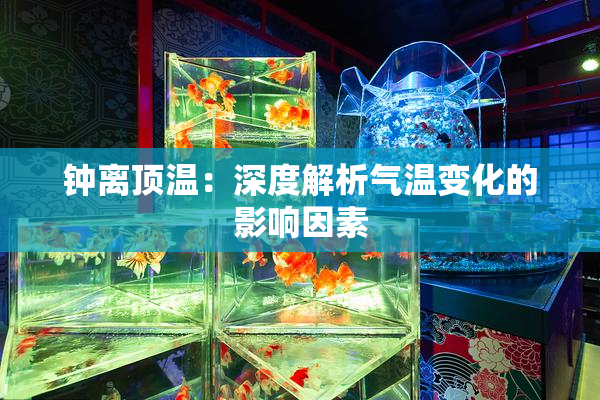 钟离顶温：深度解析气温变化的影响因素