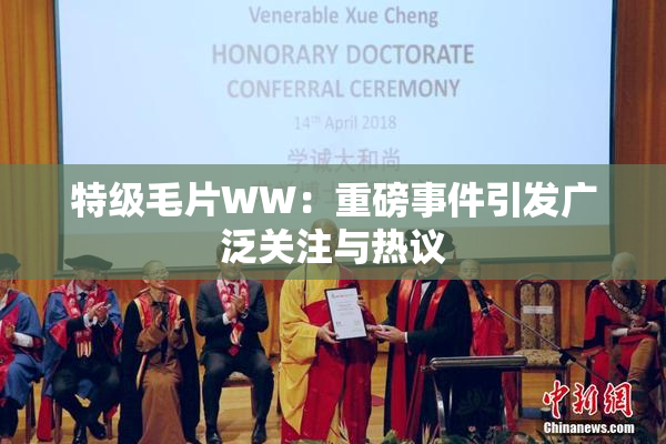 特级毛片WW：重磅事件引发广泛关注与热议