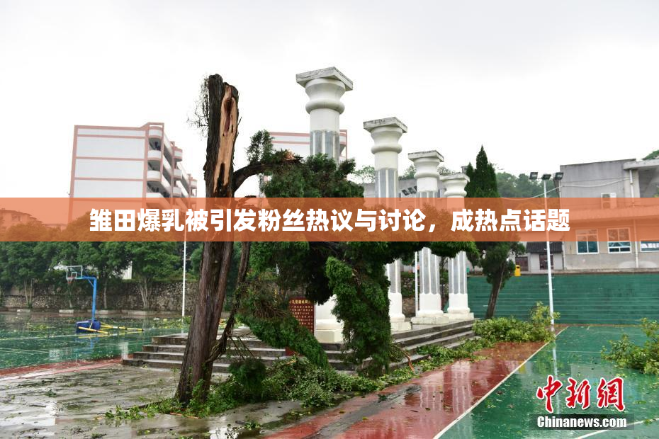 雏田爆乳被引发粉丝热议与讨论，成热点话题