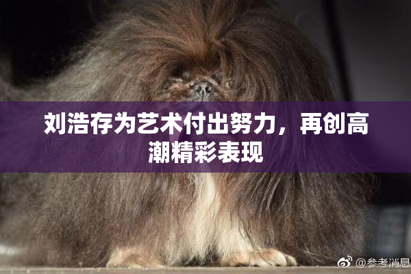 刘浩存为艺术付出努力，再创高潮精彩表现