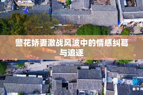 警花娇妻激战风波中的情感纠葛与追逐