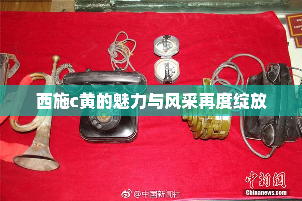 西施c黄的魅力与风采再度绽放