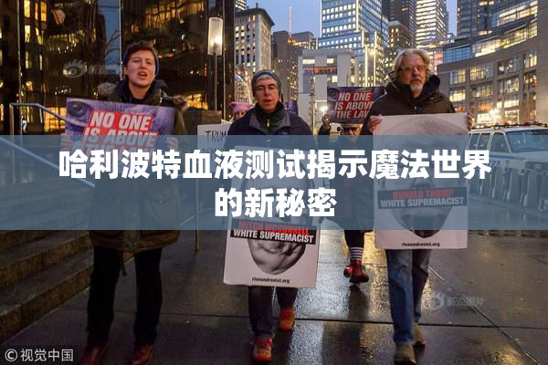 哈利波特血液测试揭示魔法世界的新秘密