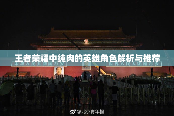王者荣耀中纯肉的英雄角色解析与推荐