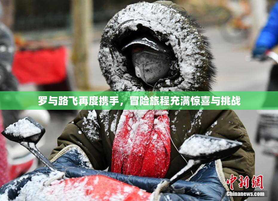 罗与路飞再度携手，冒险旅程充满惊喜与挑战