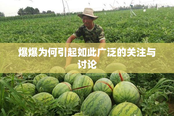 爆爆为何引起如此广泛的关注与讨论