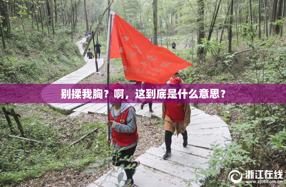 别揉我胸？啊，这到底是什么意思？