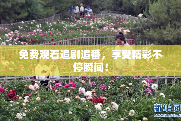免费观看追剧追番，享受精彩不停瞬间！