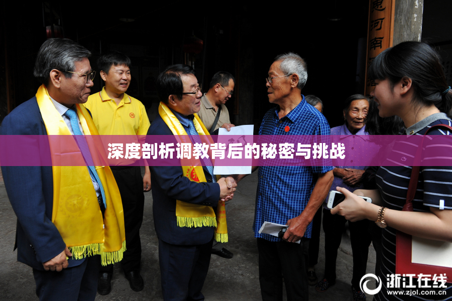 深度剖析调教背后的秘密与挑战