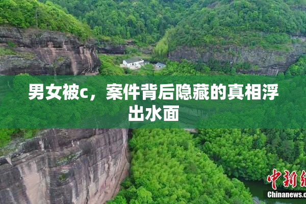 男女被c，案件背后隐藏的真相浮出水面