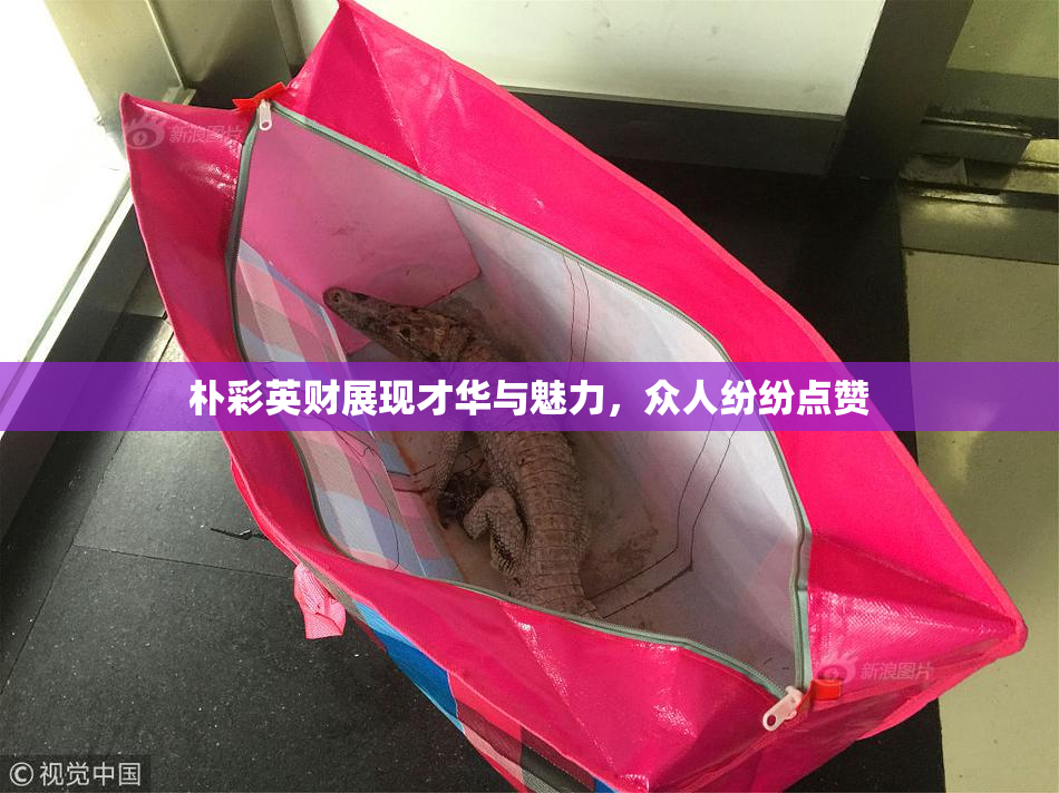 朴彩英财展现才华与魅力，众人纷纷点赞