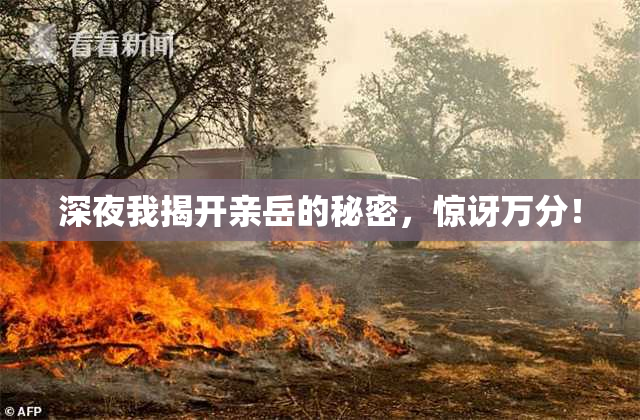 深夜我揭开亲岳的秘密，惊讶万分！