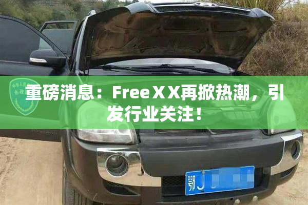 重磅消息：FreeⅩX再掀热潮，引发行业关注！
