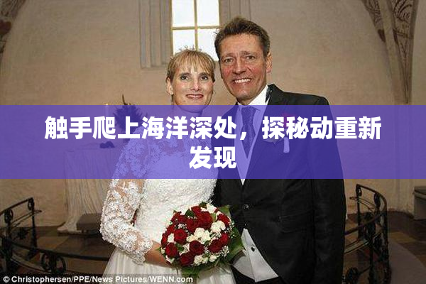 触手爬上海洋深处，探秘动重新发现