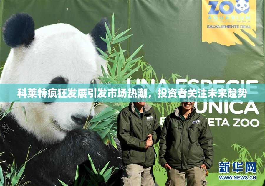 科莱特疯狂发展引发市场热潮，投资者关注未来趋势