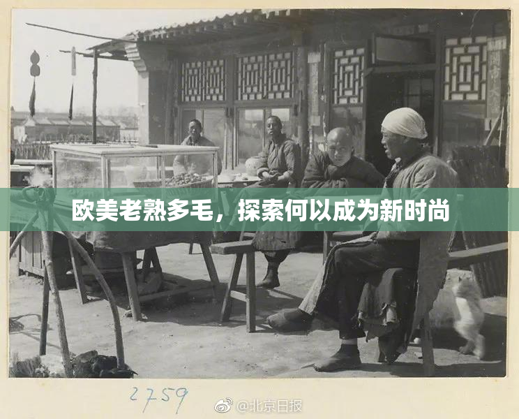 欧美老熟多毛，探索何以成为新时尚