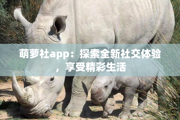 萌萝社app：探索全新社交体验，享受精彩生活