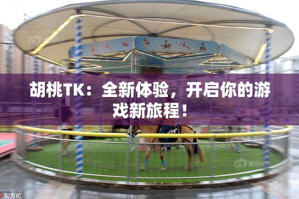 胡桃TK：全新体验，开启你的游戏新旅程！